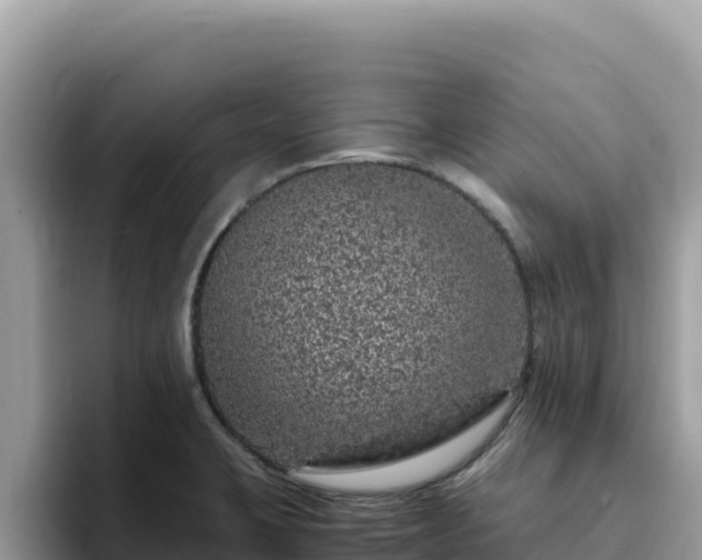 X0000093431423200710191017