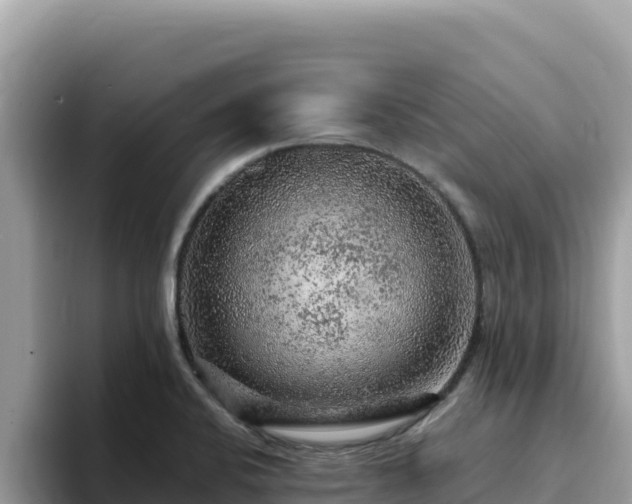X0000093431424200710191017