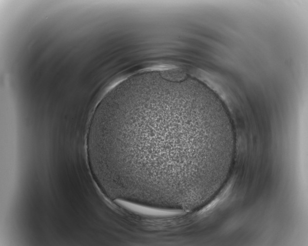 X0000093431425200710191017