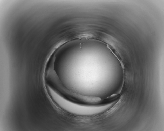 X0000093431426200710191017