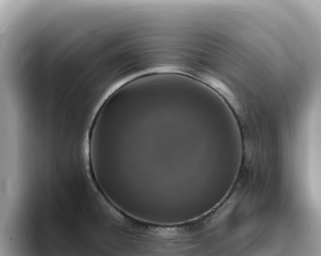 X0000093431428200710191017