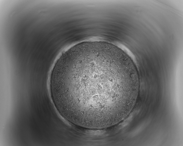 X0000093431429200710191017