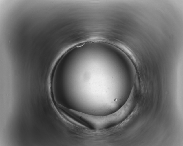 X0000093431430200710191017