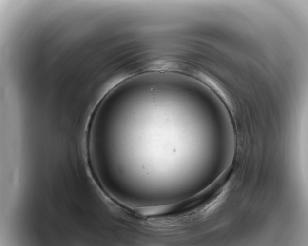 X0000093431434200710191017