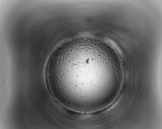 X0000093431435200710191017