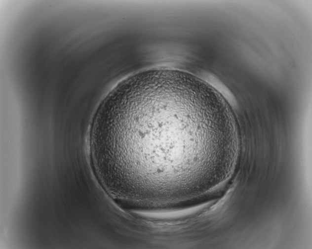 X0000093431436200710191017