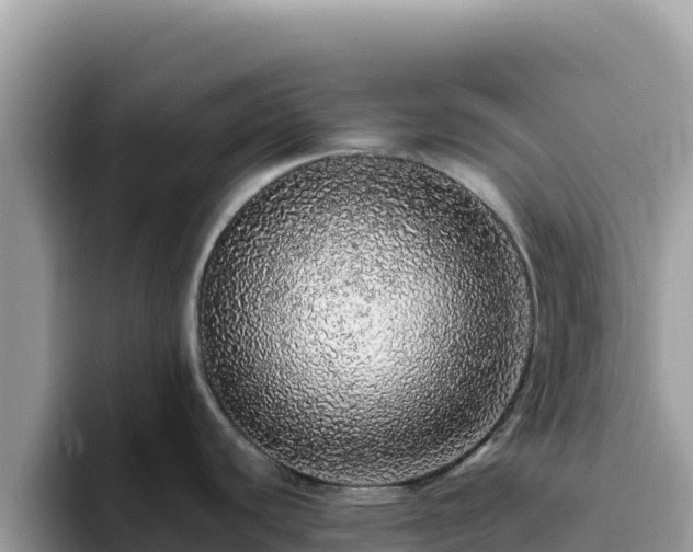 X0000093431440200710191017