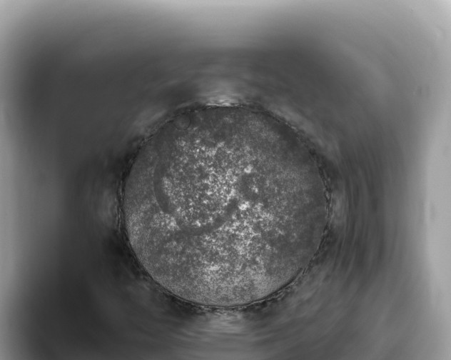 X0000093431446200710191016