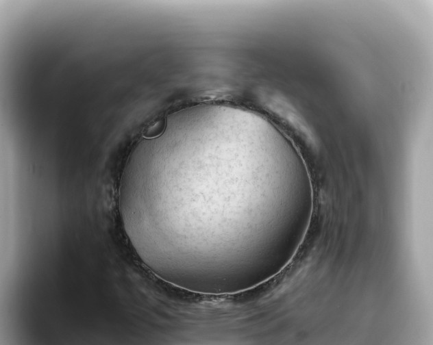 X0000093431447200710191016