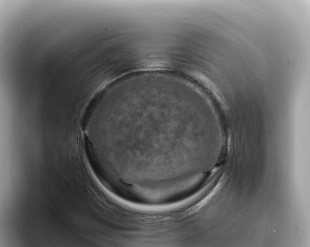 X0000093431449200710191016