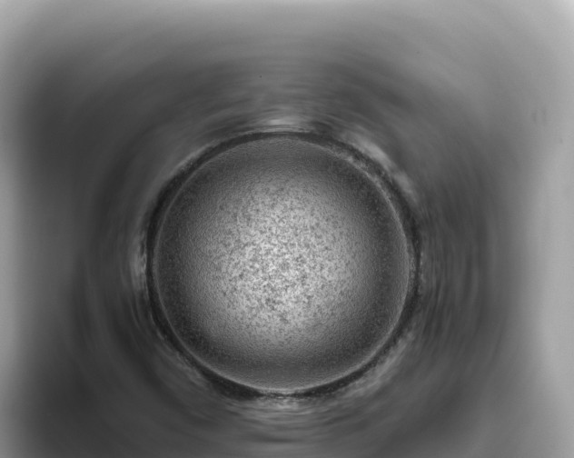 X0000093431450200710191016