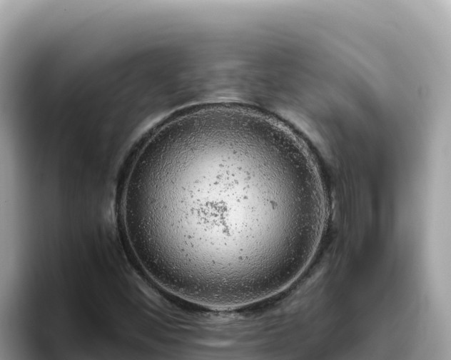 X0000093431452200710191016