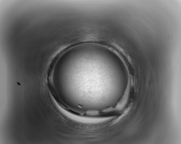 X0000093431453200710191016