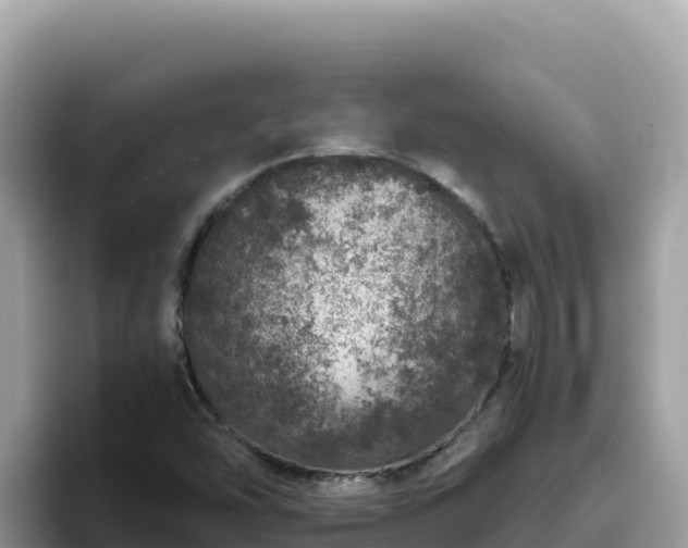 X0000093431454200710191016