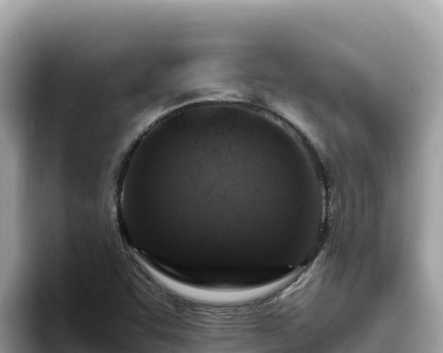 X0000093431455200710191016