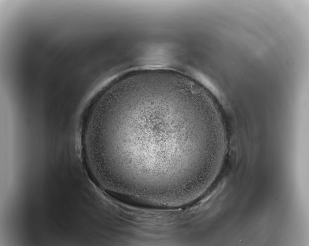 X0000093431456200710191016