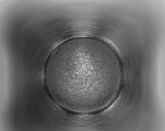 X0000093431457200710191016