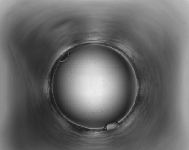 X0000093431458200710191016
