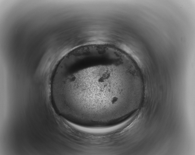 X0000093431459200710191016