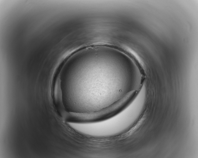 X0000093431461200710191016