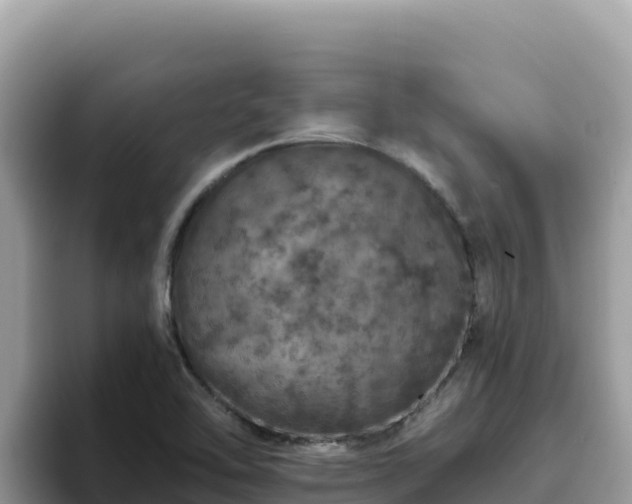 X0000093431462200710191016