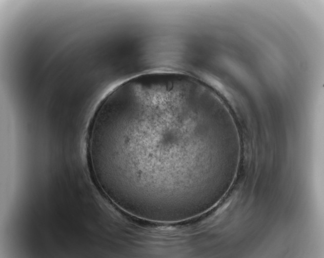 X0000093431463200710191016