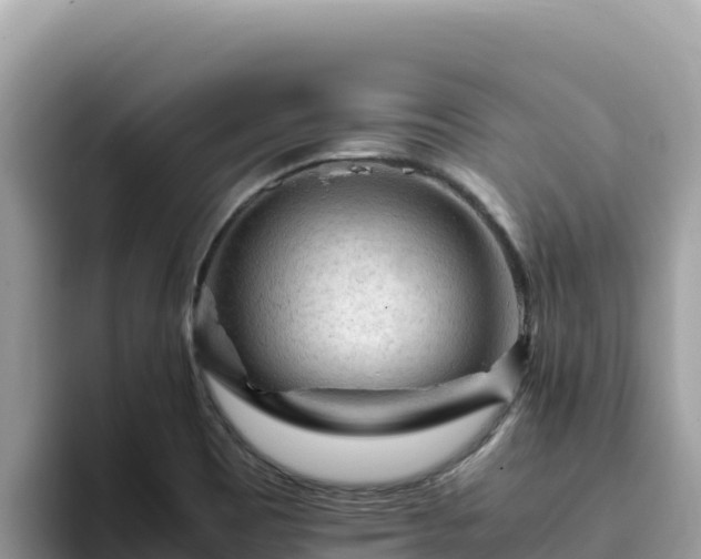 X0000093431465200710191016