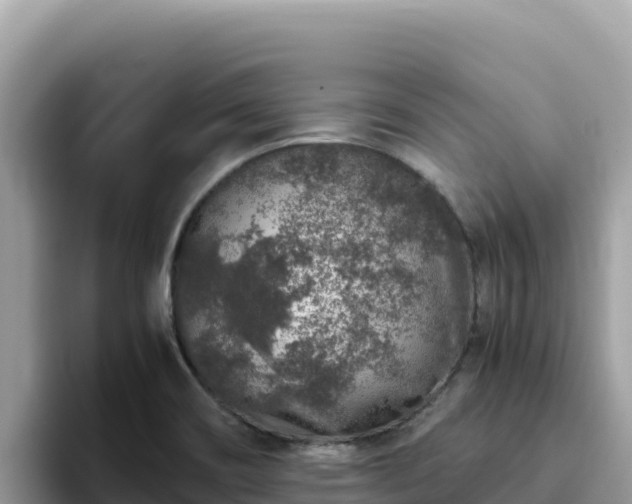 X0000093431466200710191016