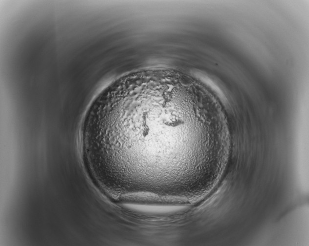 X0000093431467200710191016