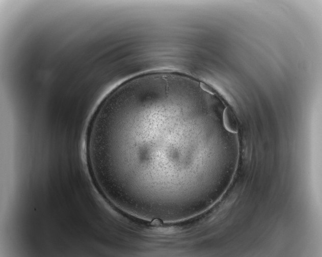 X0000093431468200710191016
