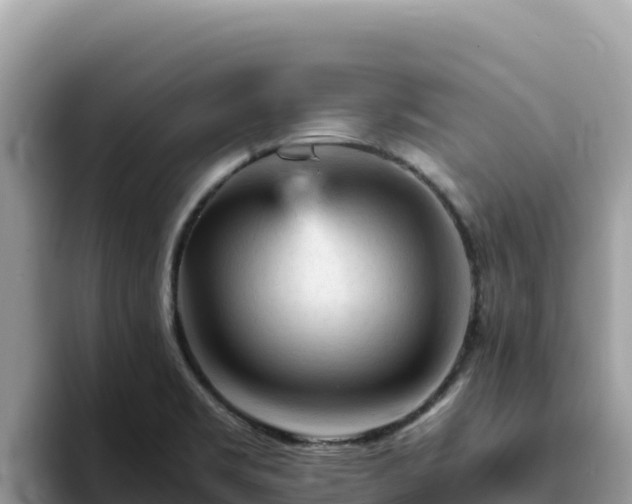 X0000093431469200710191016