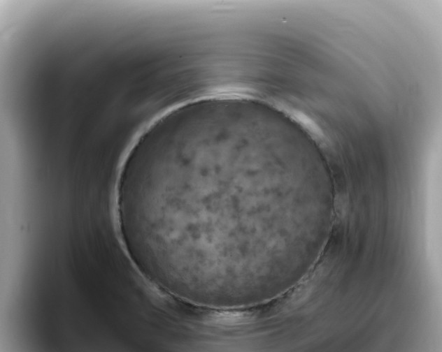 X0000093431470200710191016