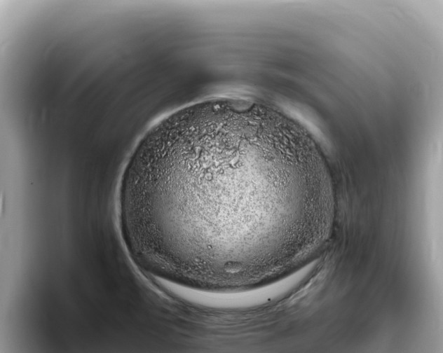 X0000093431471200710191016