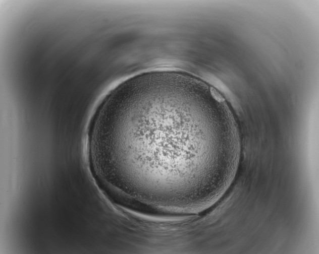 X0000093431472200710191016