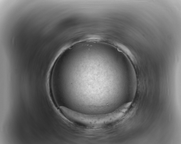X0000093431475200710191016