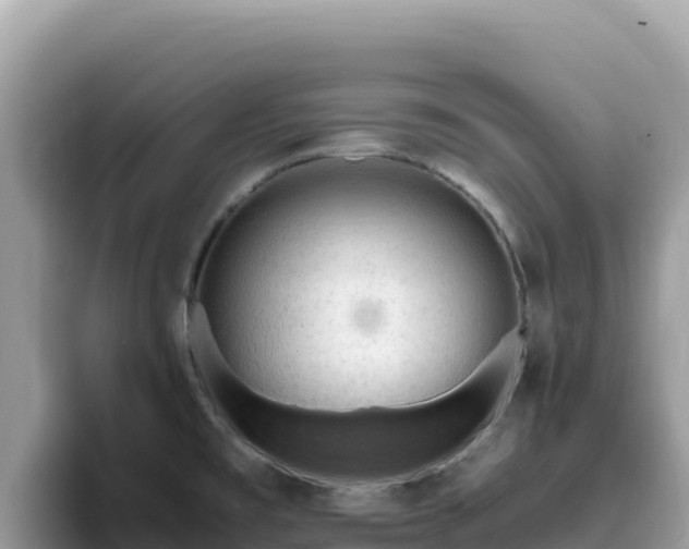 X0000093431477200710191016