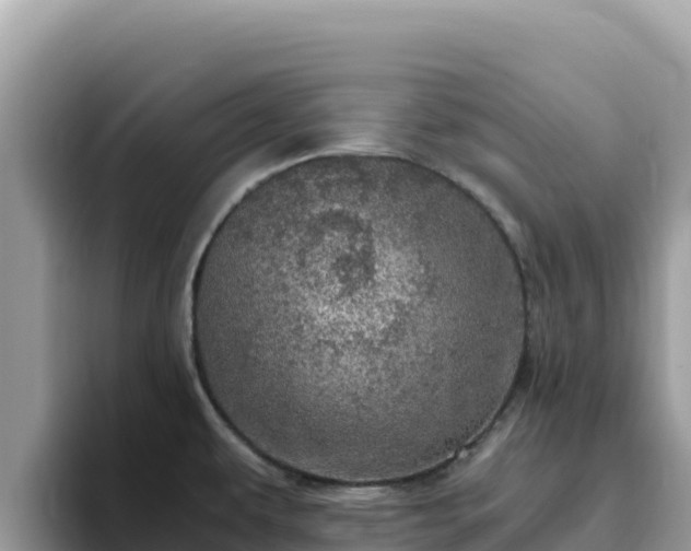 X0000093431479200710191016