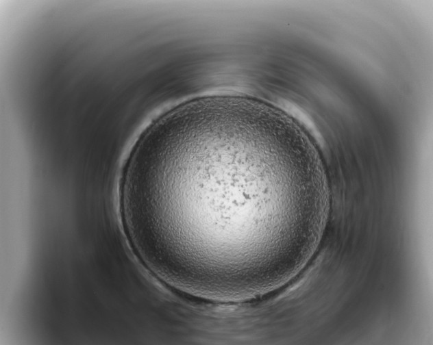 X0000093431480200710191016