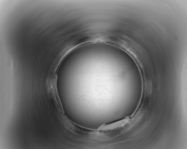 X0000093431481200710191016