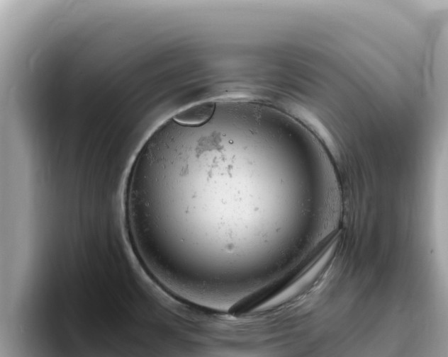 X0000093431483200710191016