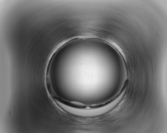 X0000093431485200710191016