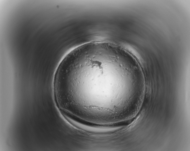 X0000093431487200710191016
