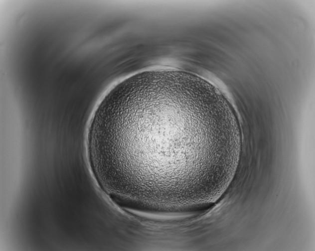 X0000093431488200710191016