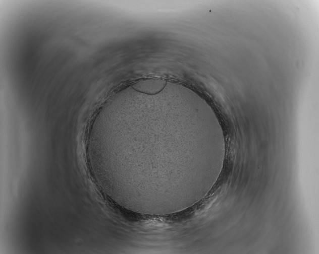 X0000093431489200710191015