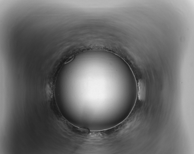 X0000093431491200710191015