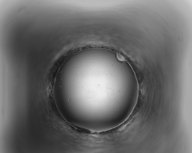 X0000093431495200710191015