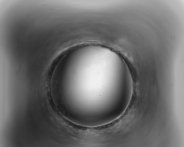 X0000093431496200710191015