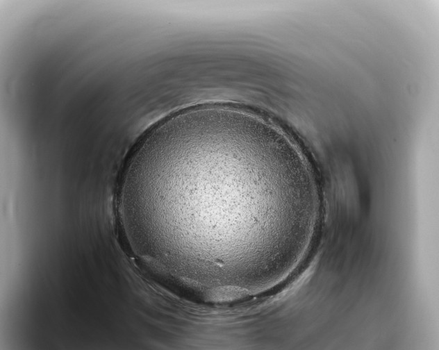 X0000093431497200710191015