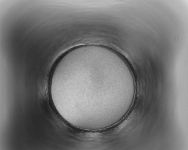 X0000093431498200710191015