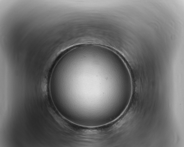 X0000093431499200710191015